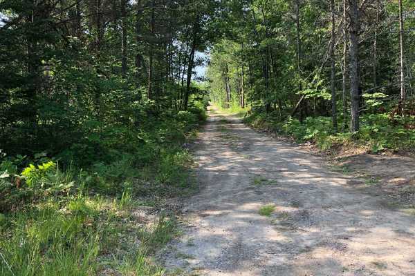 Friedrick Road