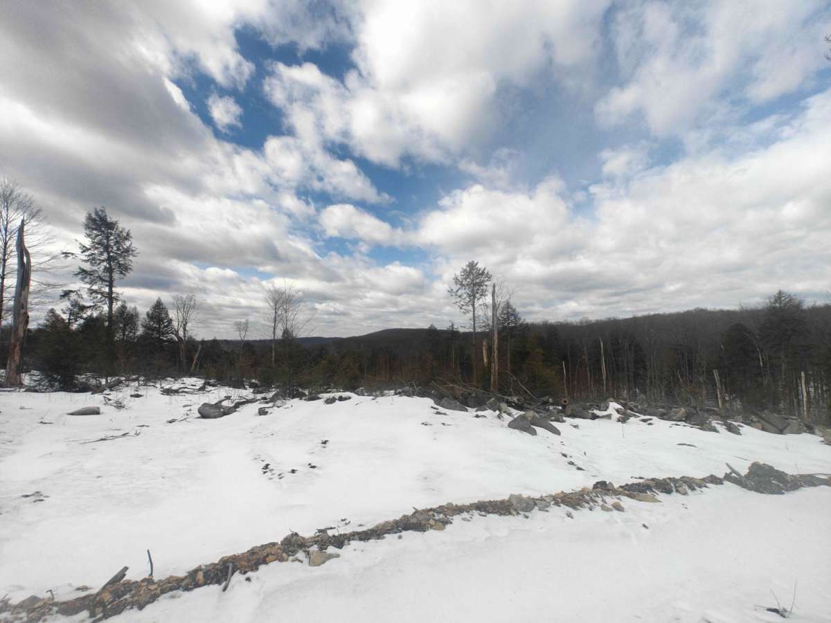 Dispersed Camping Road - FSR 259 photo 3