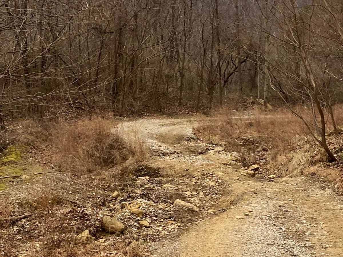 G55 Windrock photo 5