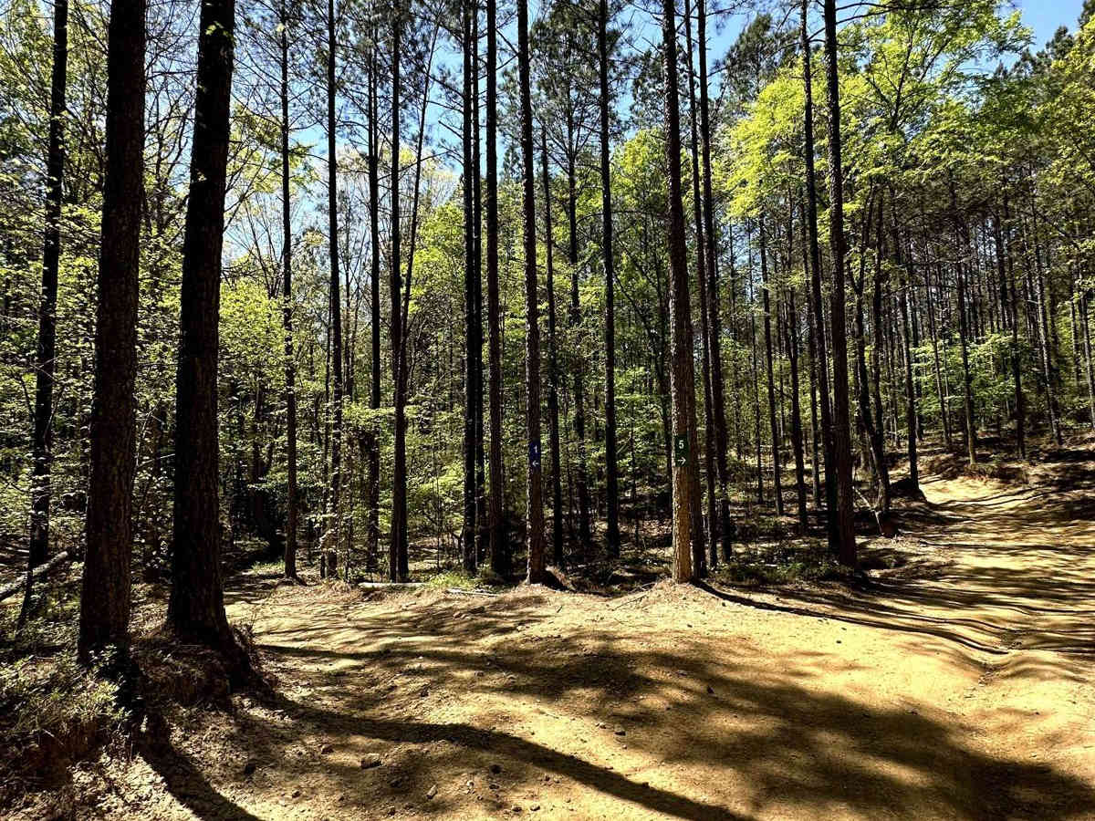 Trail 5 photo 2