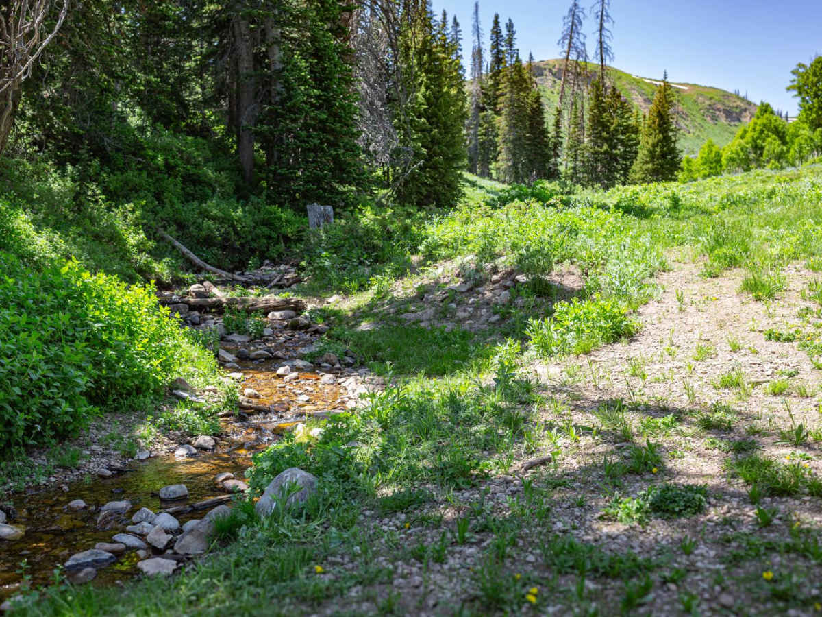Layout - FR 70246 photo 2