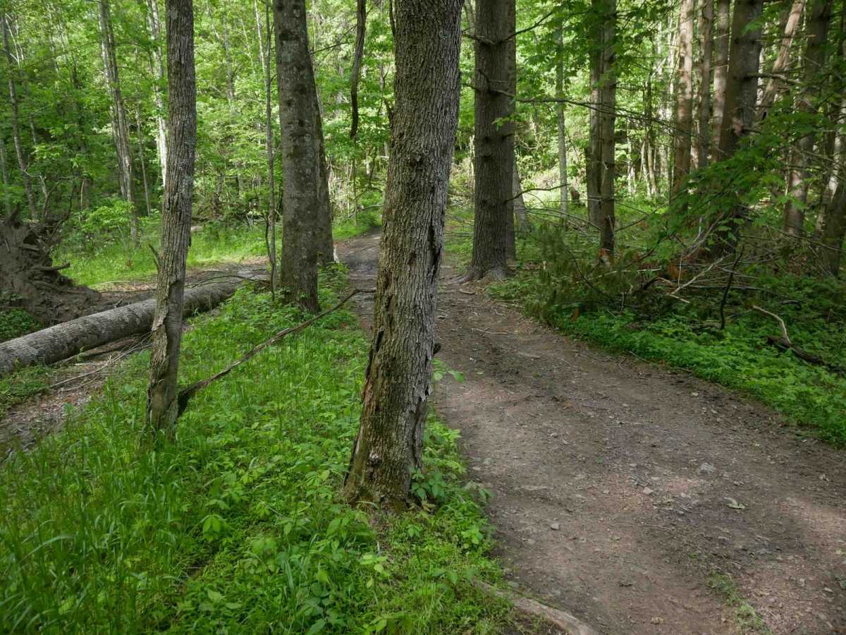 MV16 photo 2