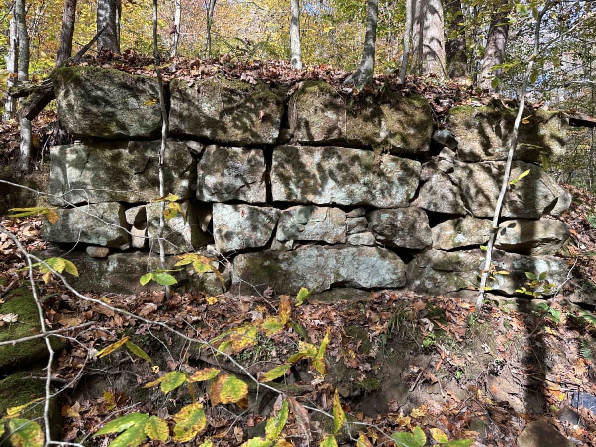 Stonebridge Trail photo 3