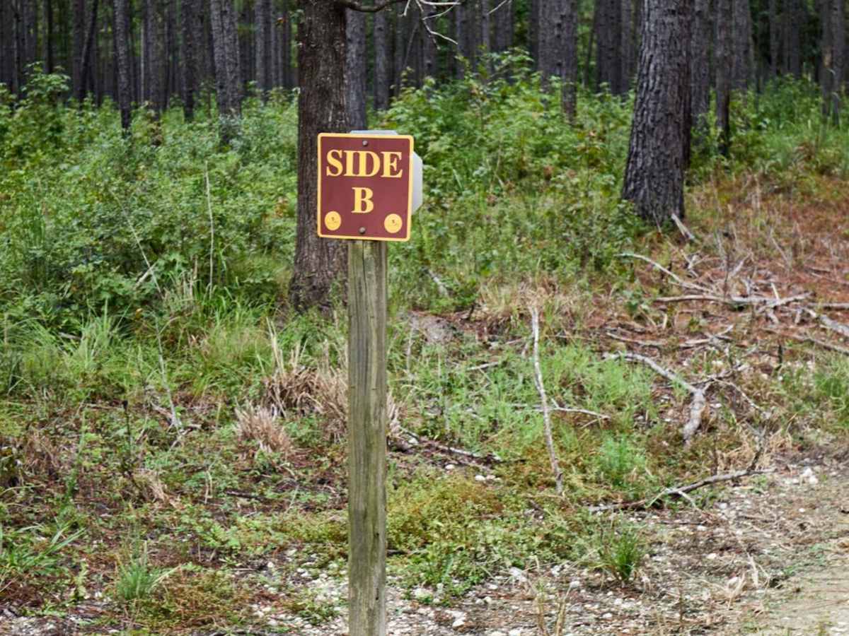 Bonneau Ferry WMA - Perimeter Loop B trail photo