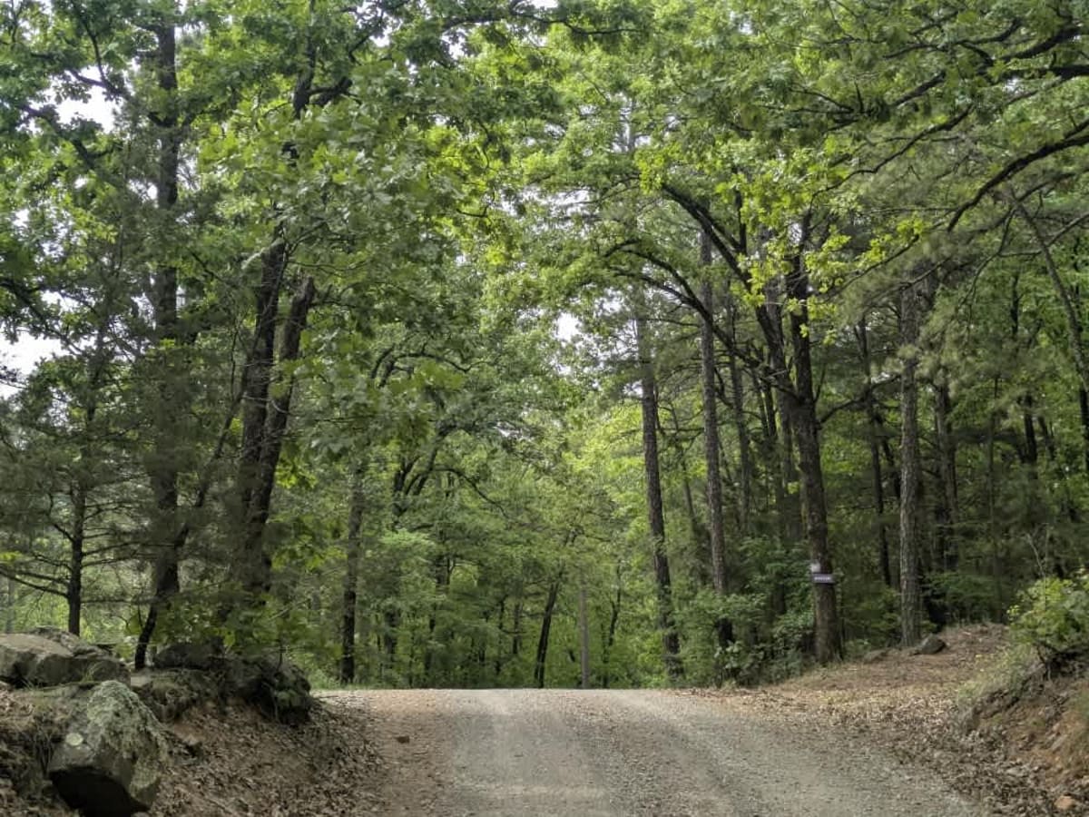 Lloyd Road trail photo