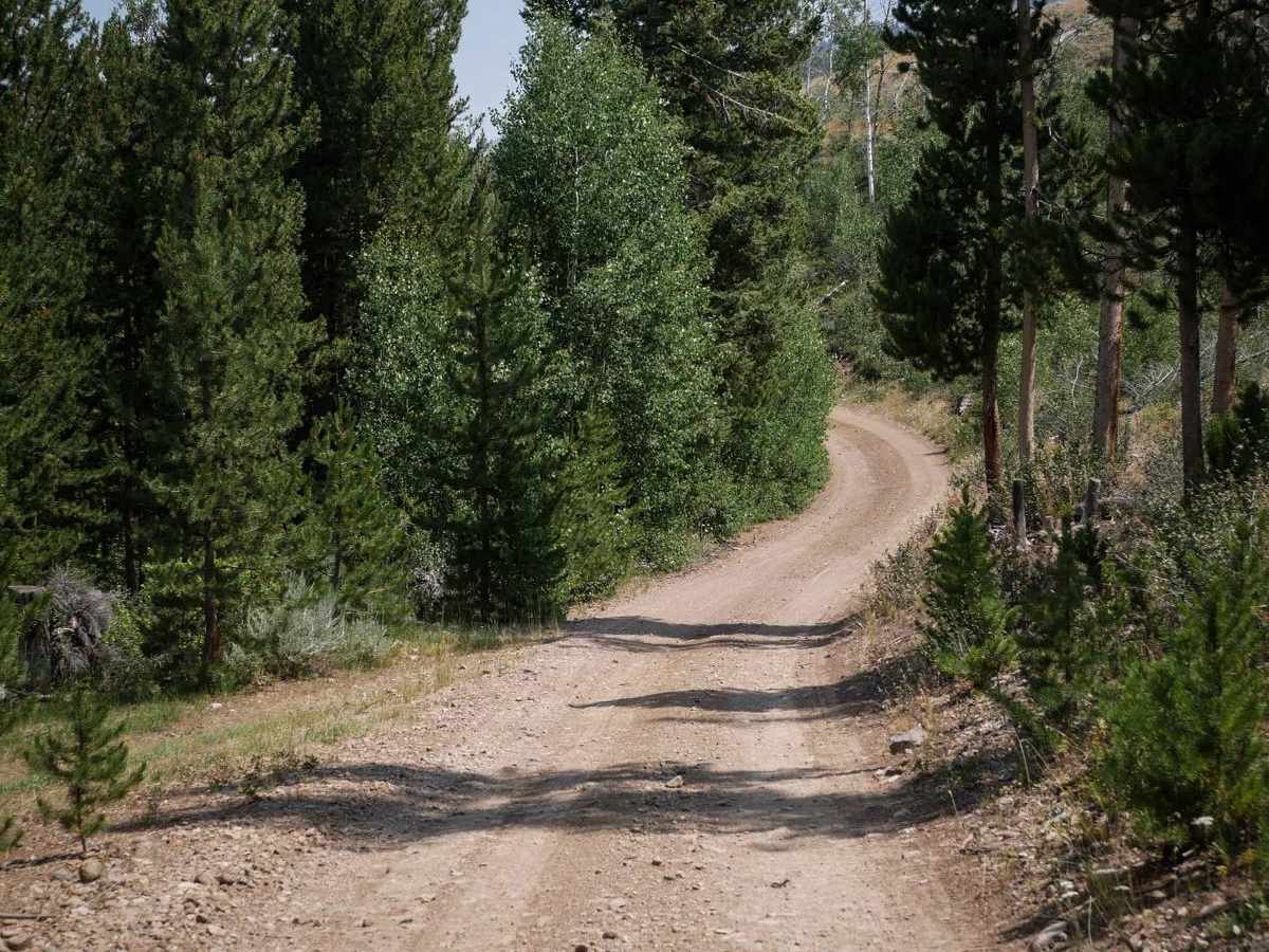 Challis Creek Road photo 2
