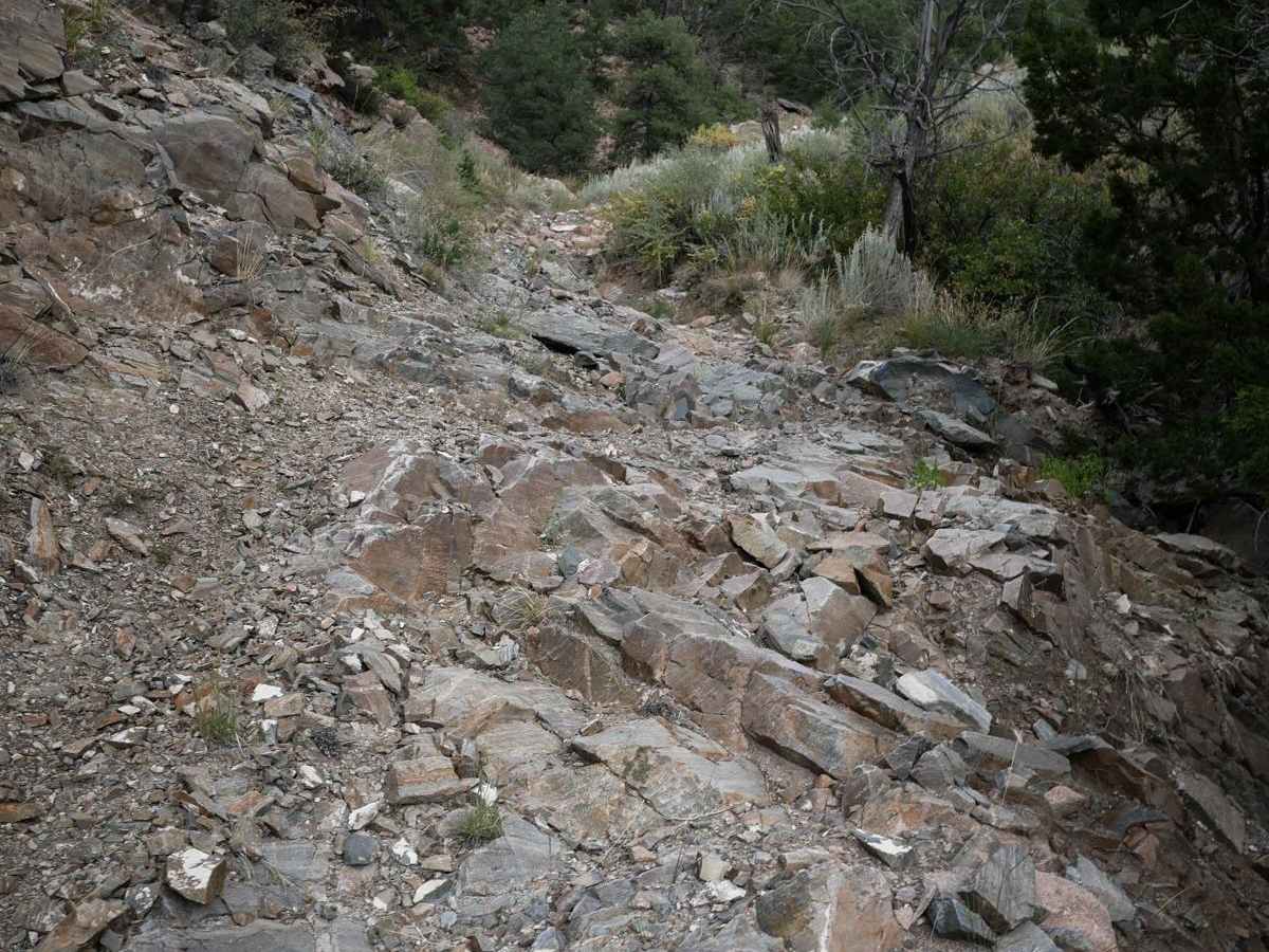 6025 ATV photo 2