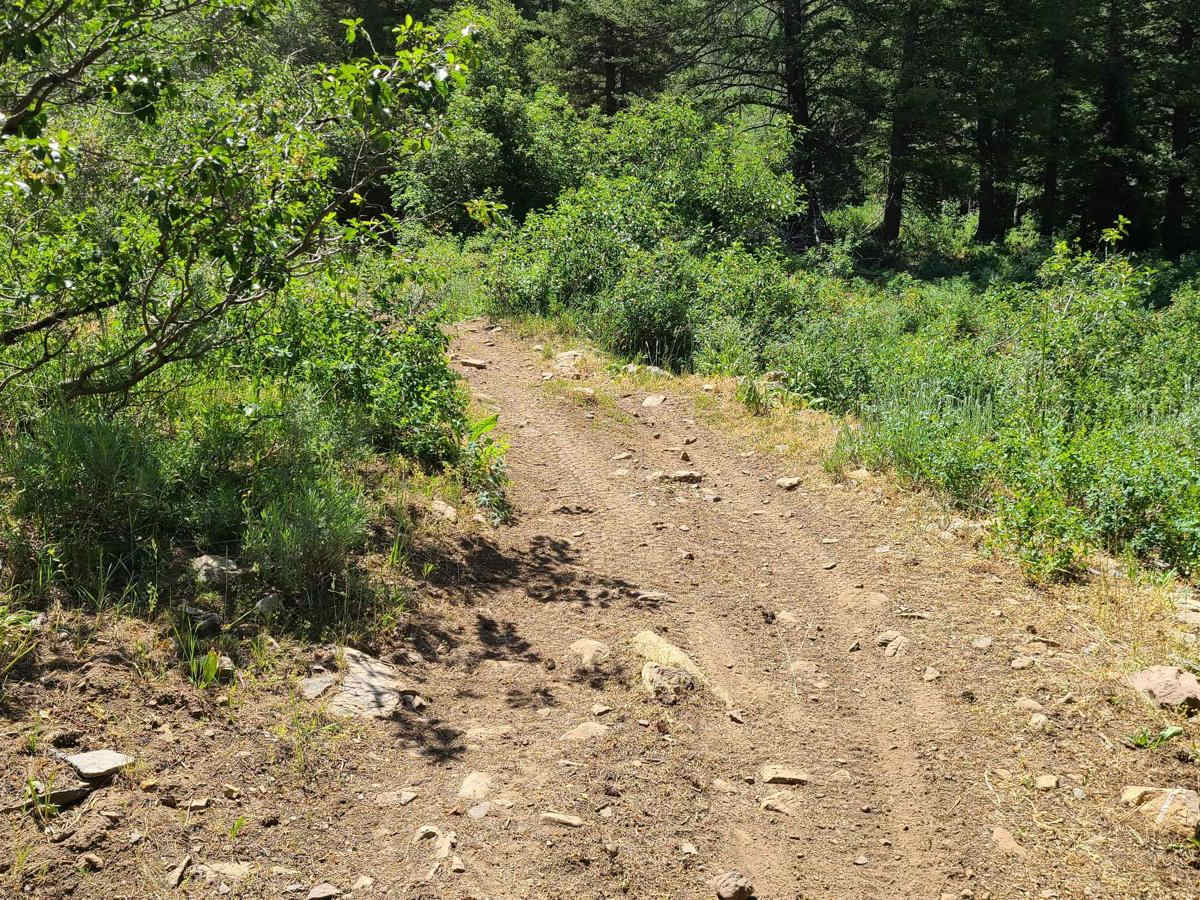 Sugar Creek photo 6