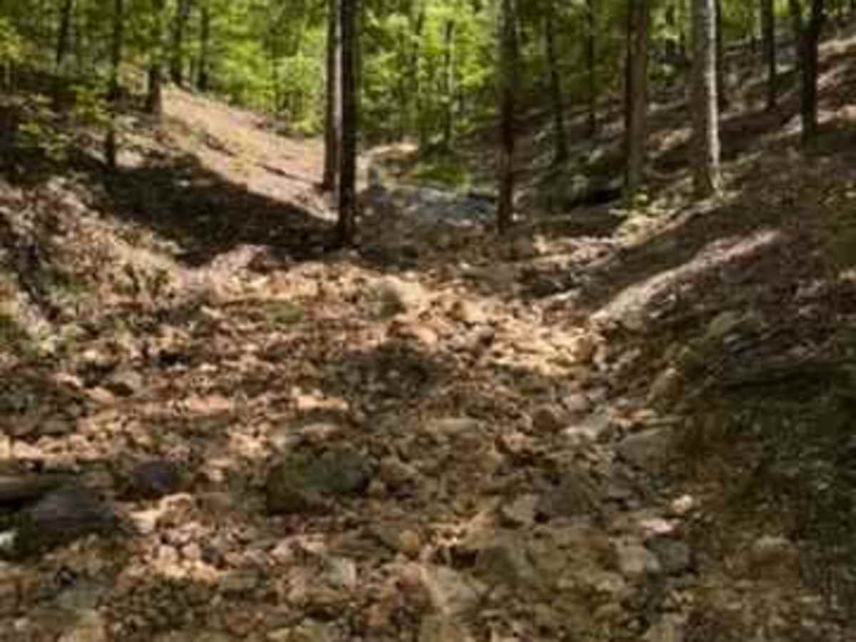 J29 Holtz Hill photo 4