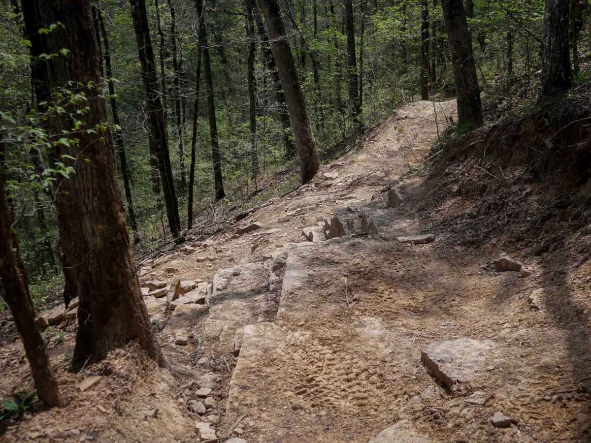 Q-O Connector trail photo
