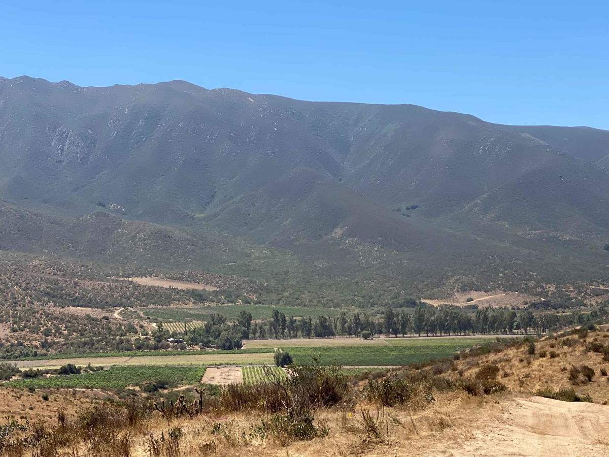 East of Ejido Uruapan photo 5