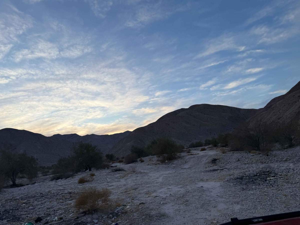 Mexicali Orange photo 5