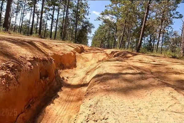 Trail 14 - West