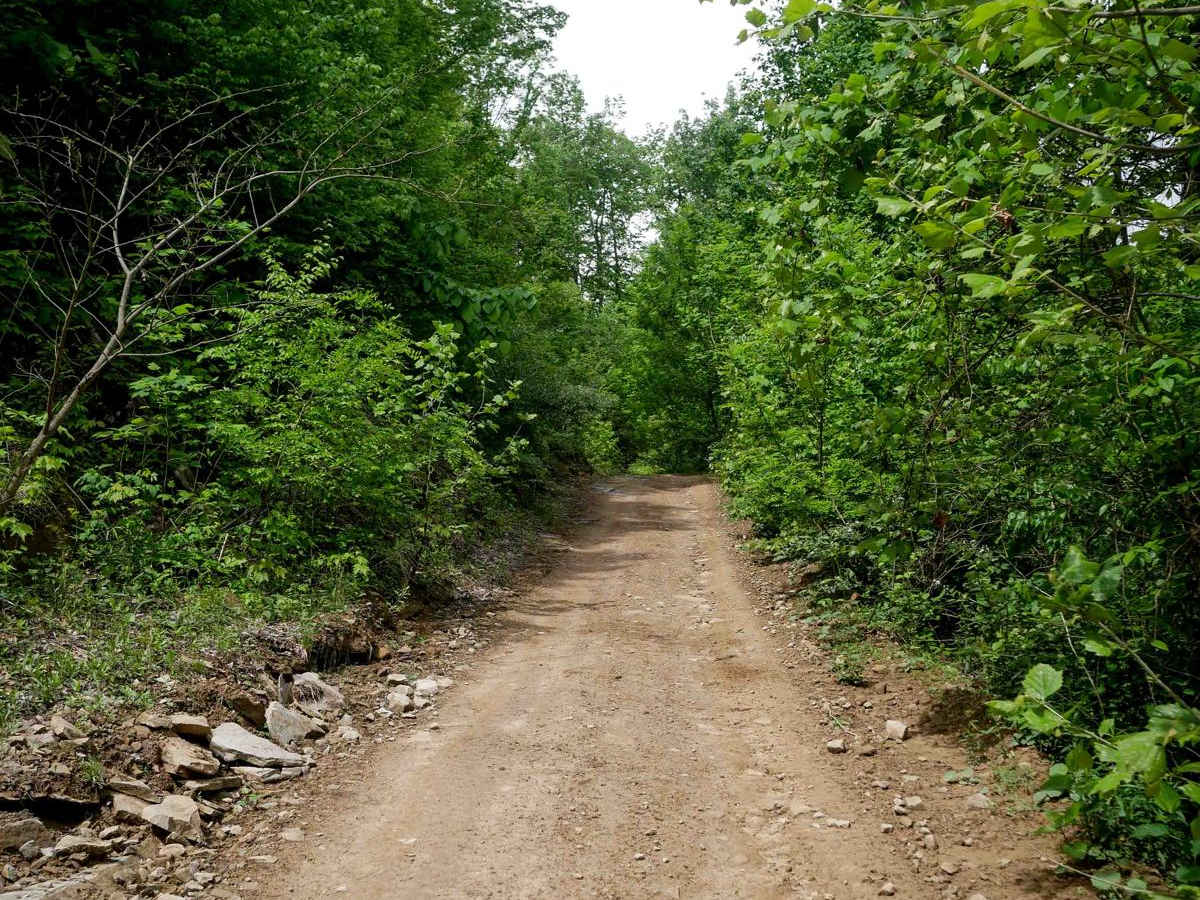 RH 42 photo 3