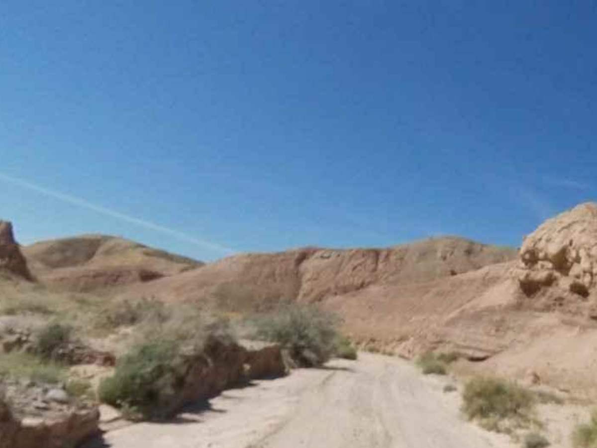 South Fork Palm Wash photo 5