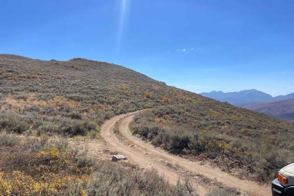 Polly Ridge