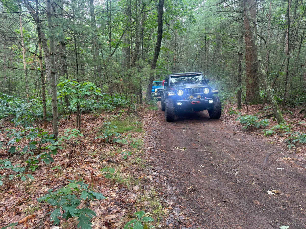Forest Route 9195 photo 4