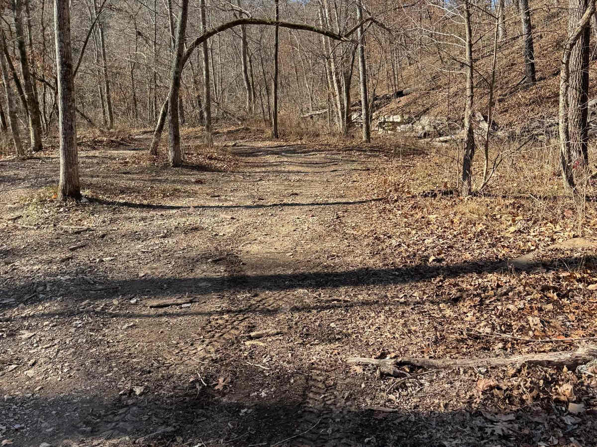 Green 221 trail photo