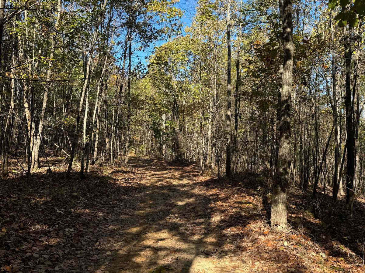 Blue Polaris Outfitter Trail photo 2