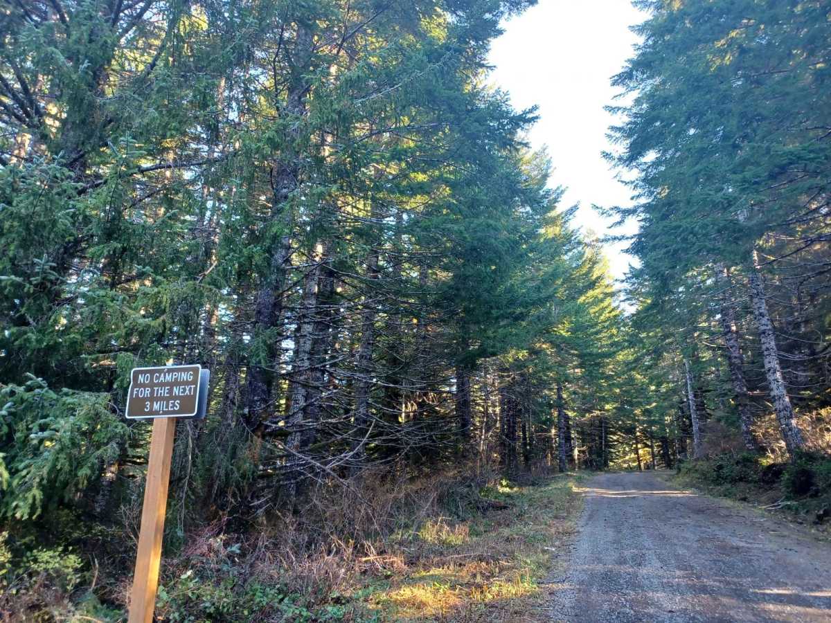 Mount Hebo photo 3