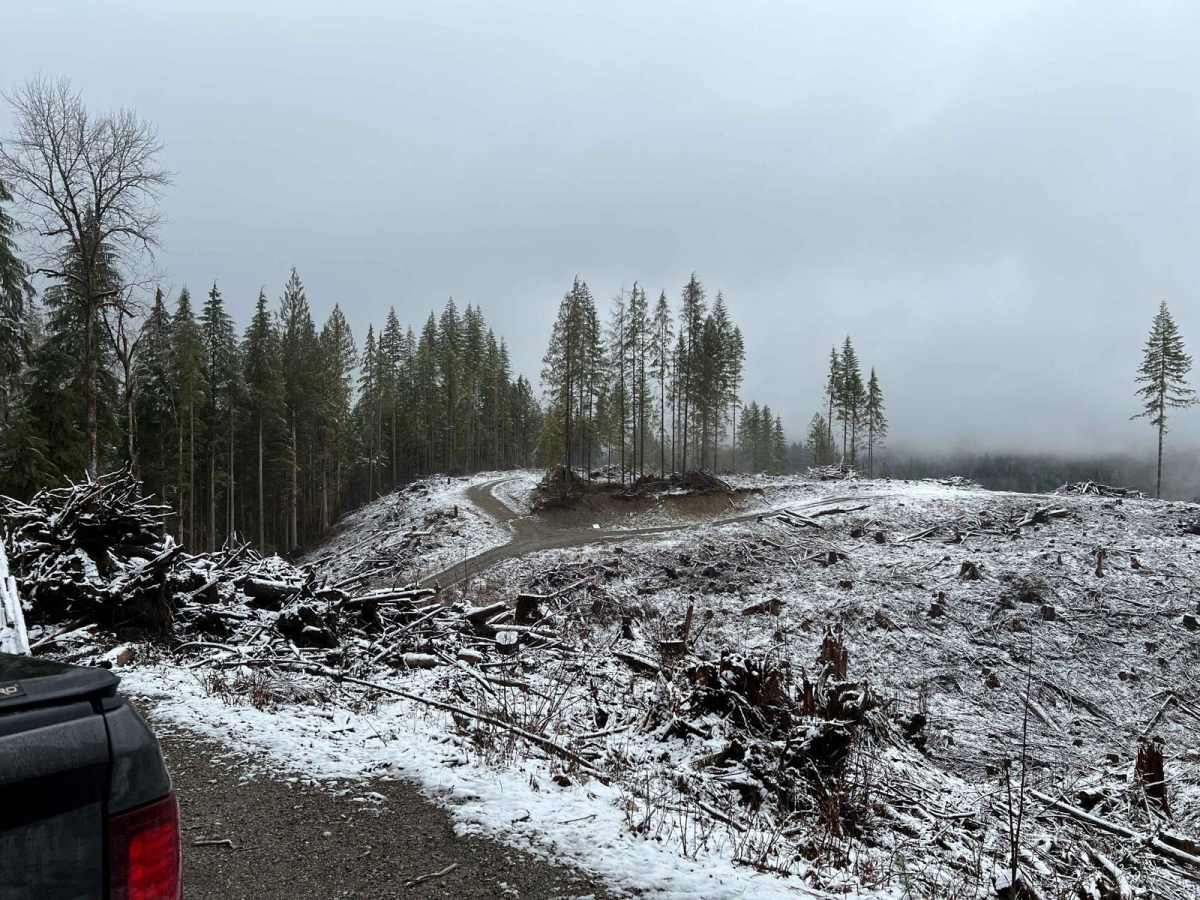 Sauk MT trail photo