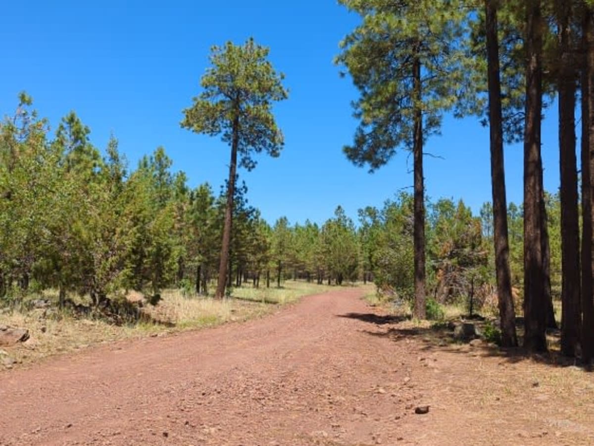 FS 538 Secret Mountain Road photo 5