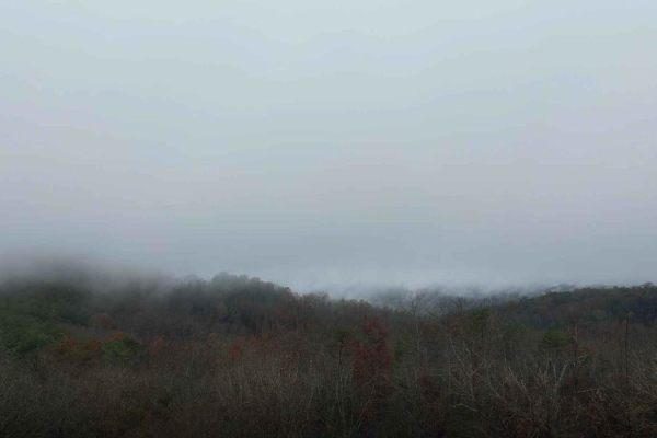 Falls Branch Road - FS 374
