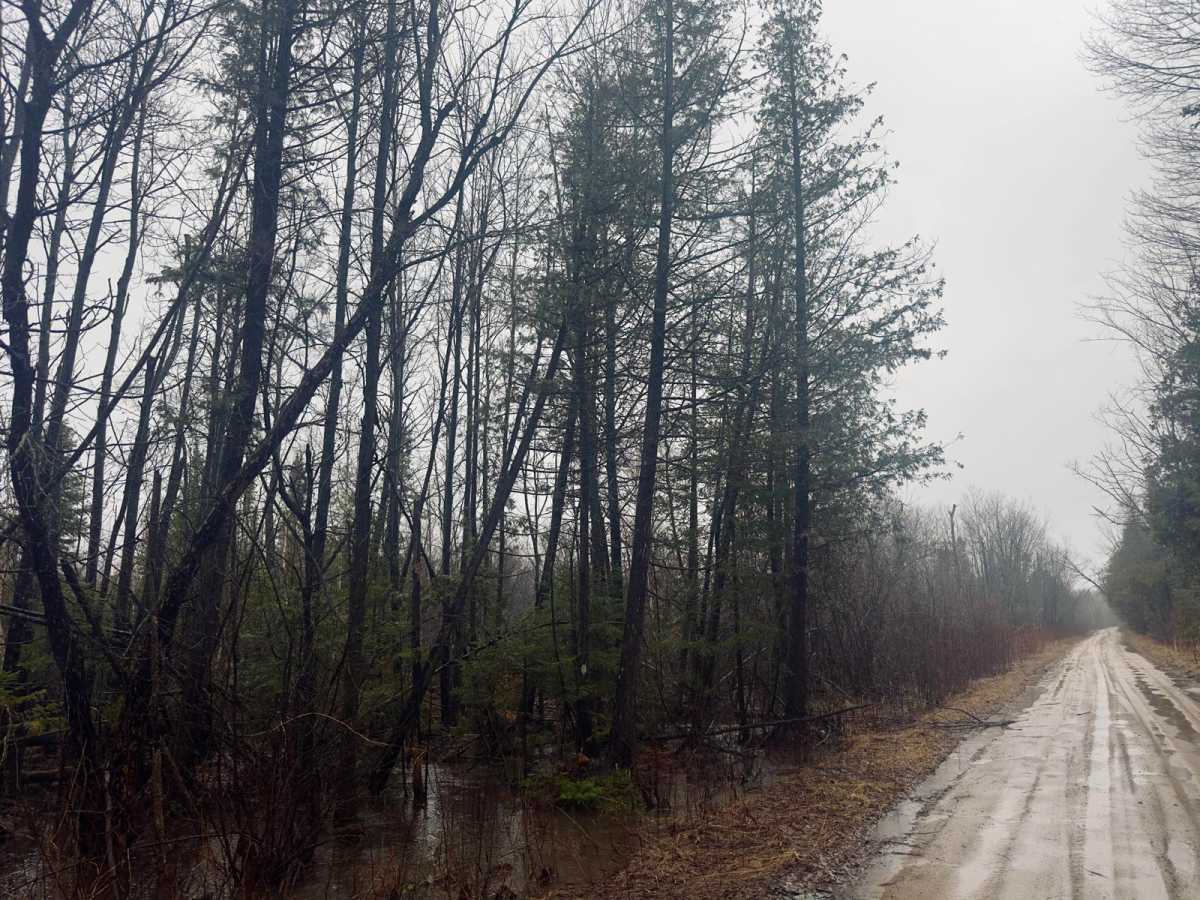 Cedar Creek Rd photo 4