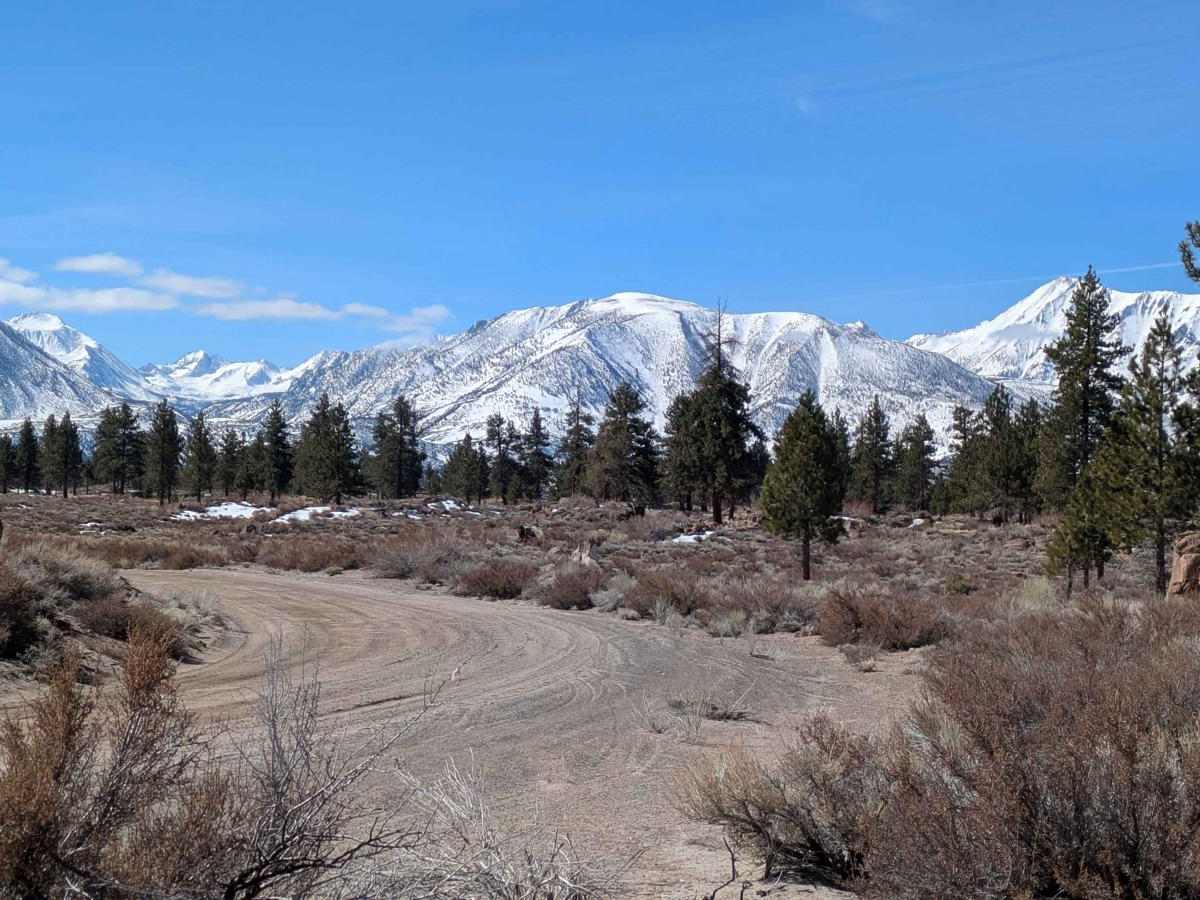 Crowley Lake Eastside - FS 4245 photo 5