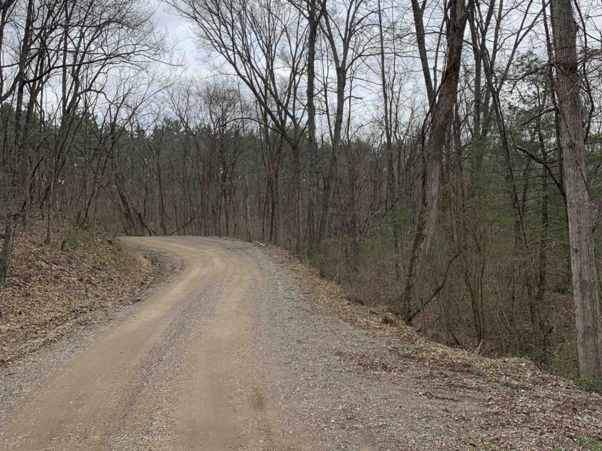 Ridgeview Road - Subarus Paradise photo 5