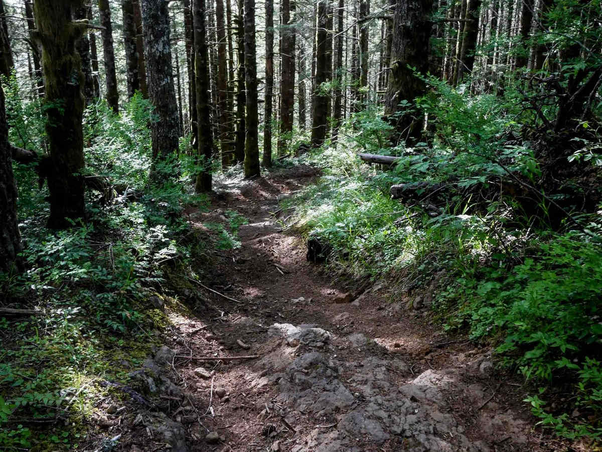 #41 trail photo