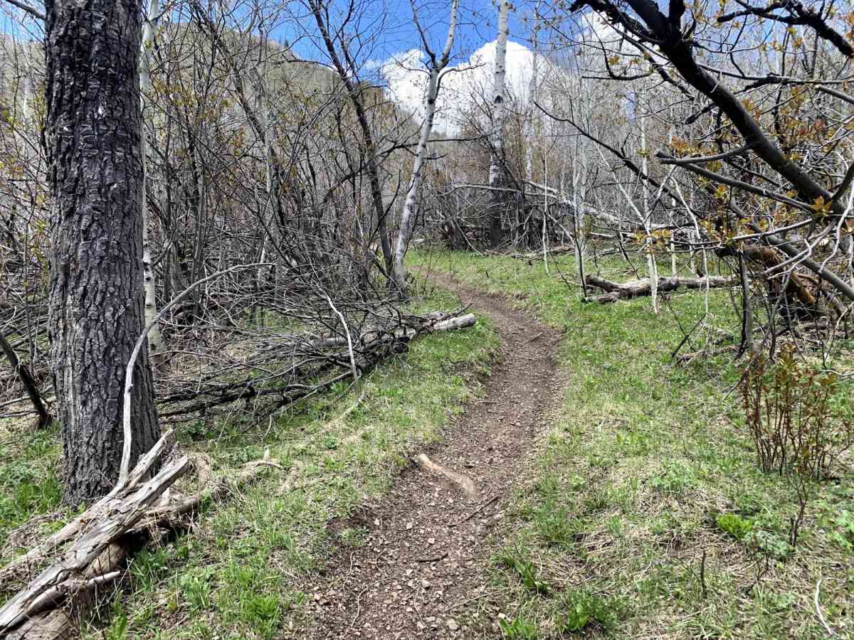 A-H Creek photo 3