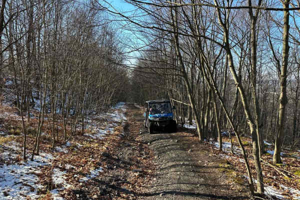 Locust Gap 75