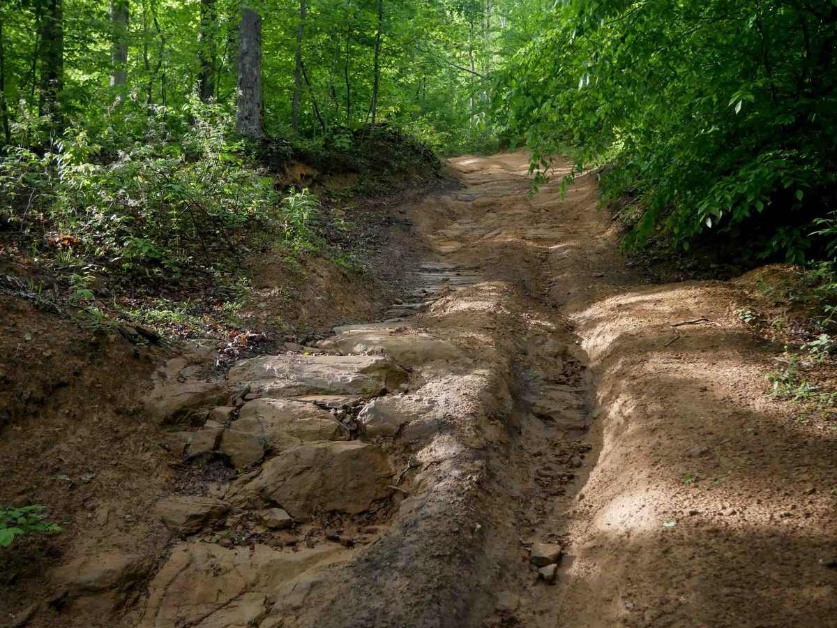 B91 trail photo