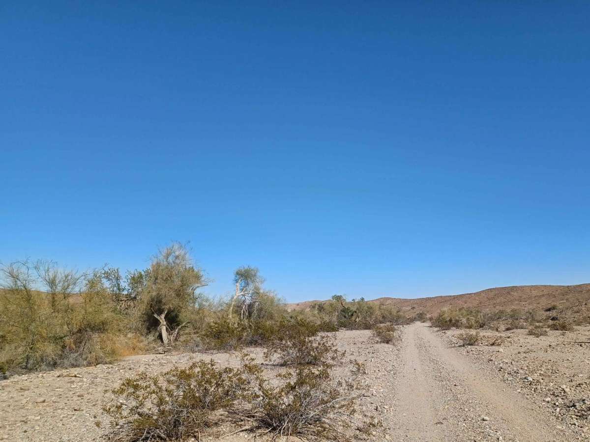 Vinagre Wash photo 4