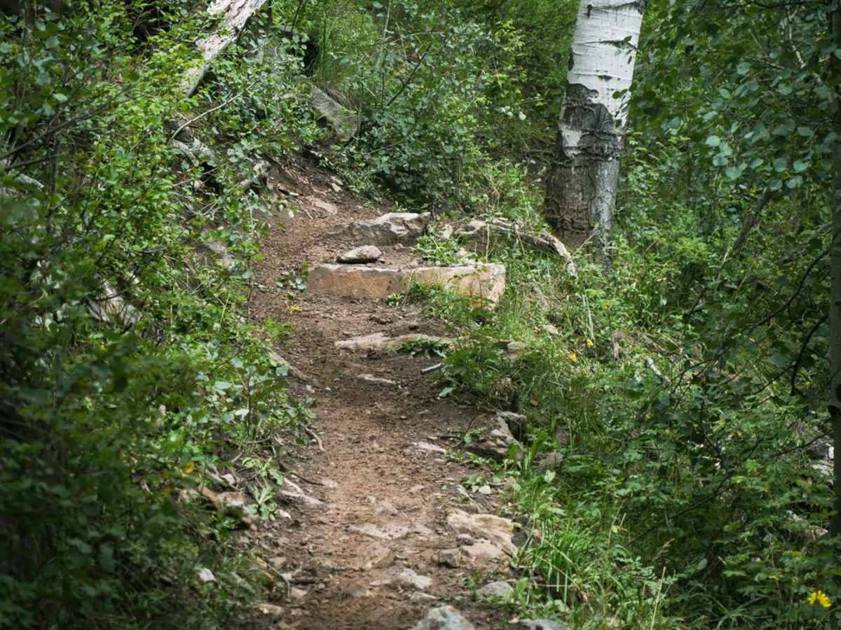 Rim Trail photo 5