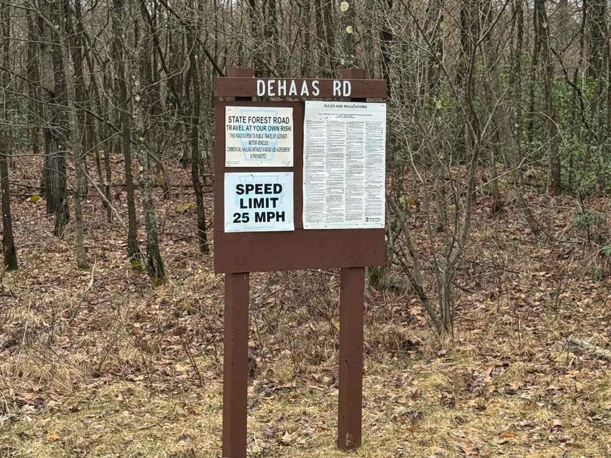Dehaas Road photo 2