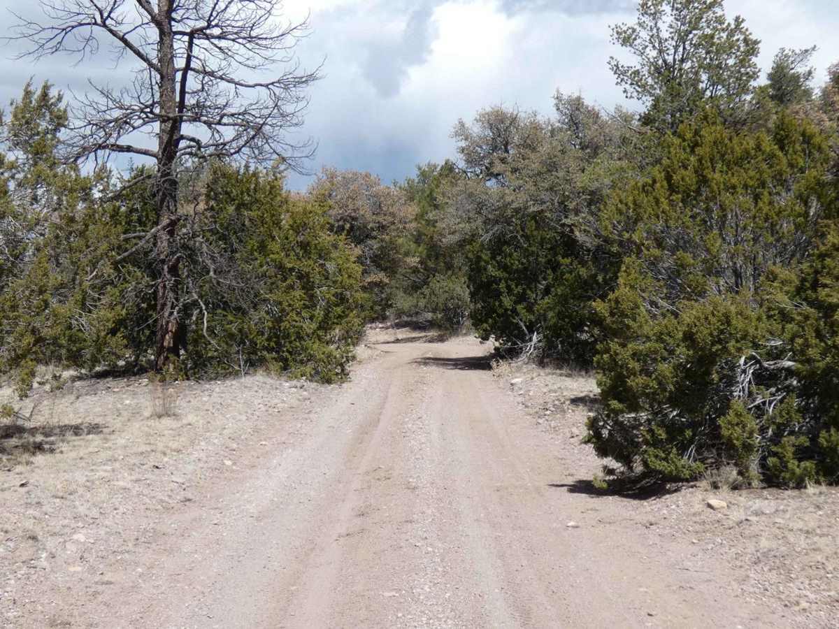 5 Canyon Pass photo 6