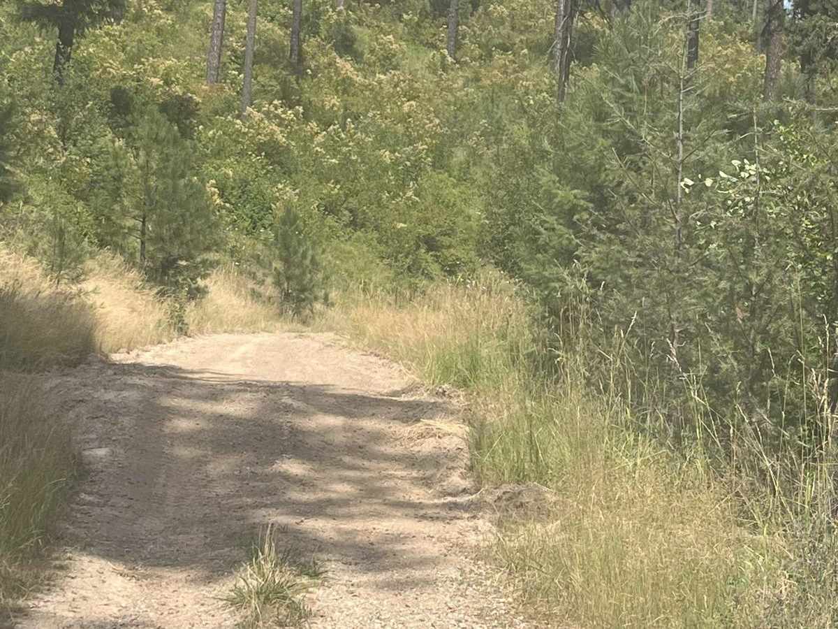 OHV Trail 8234 photo 4