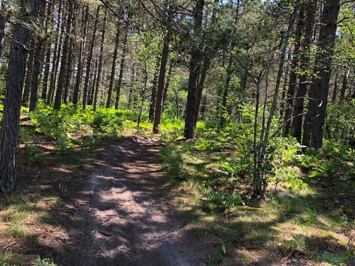 Danaher Plains Trail trail photo
