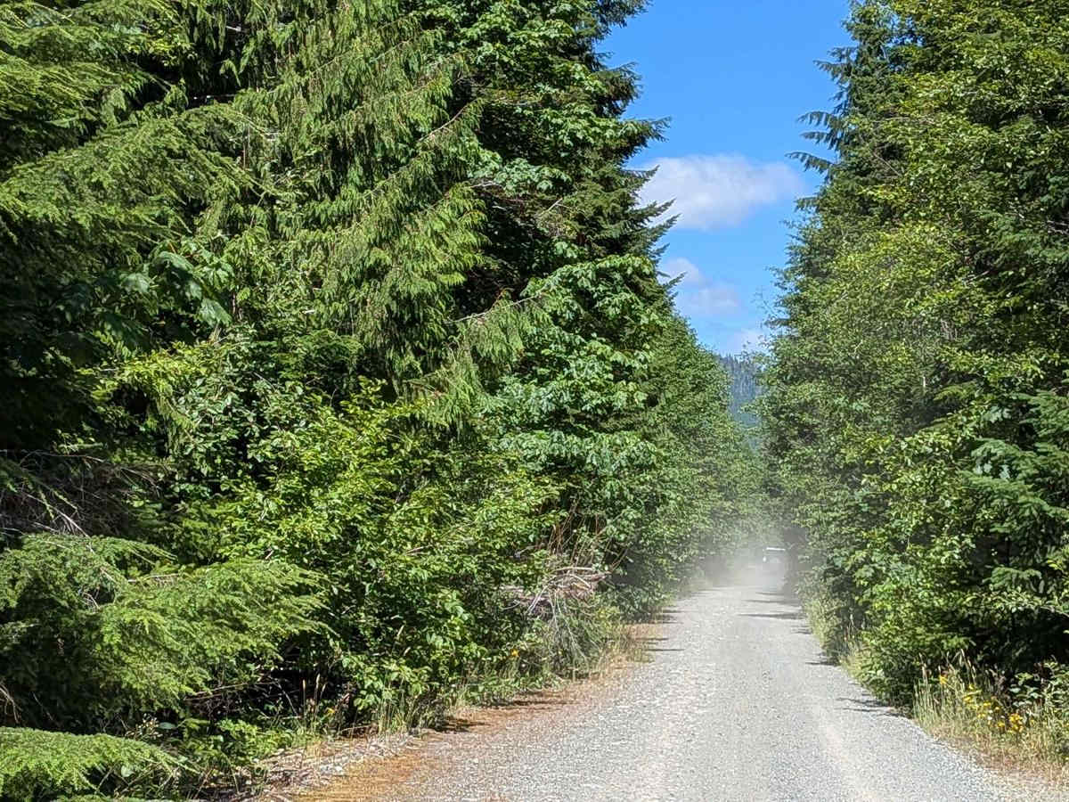 Back Road photo 4