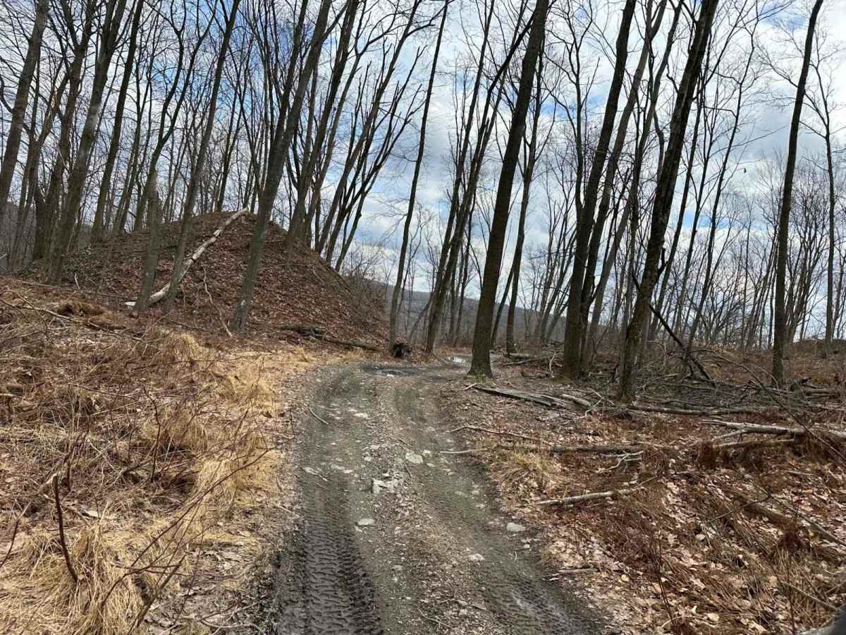 Ashland 62 photo 5