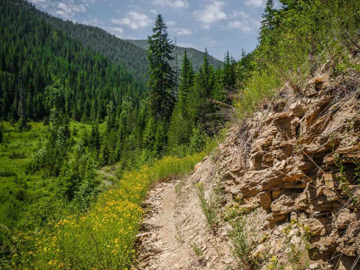 Upper Slate Creek trail photo