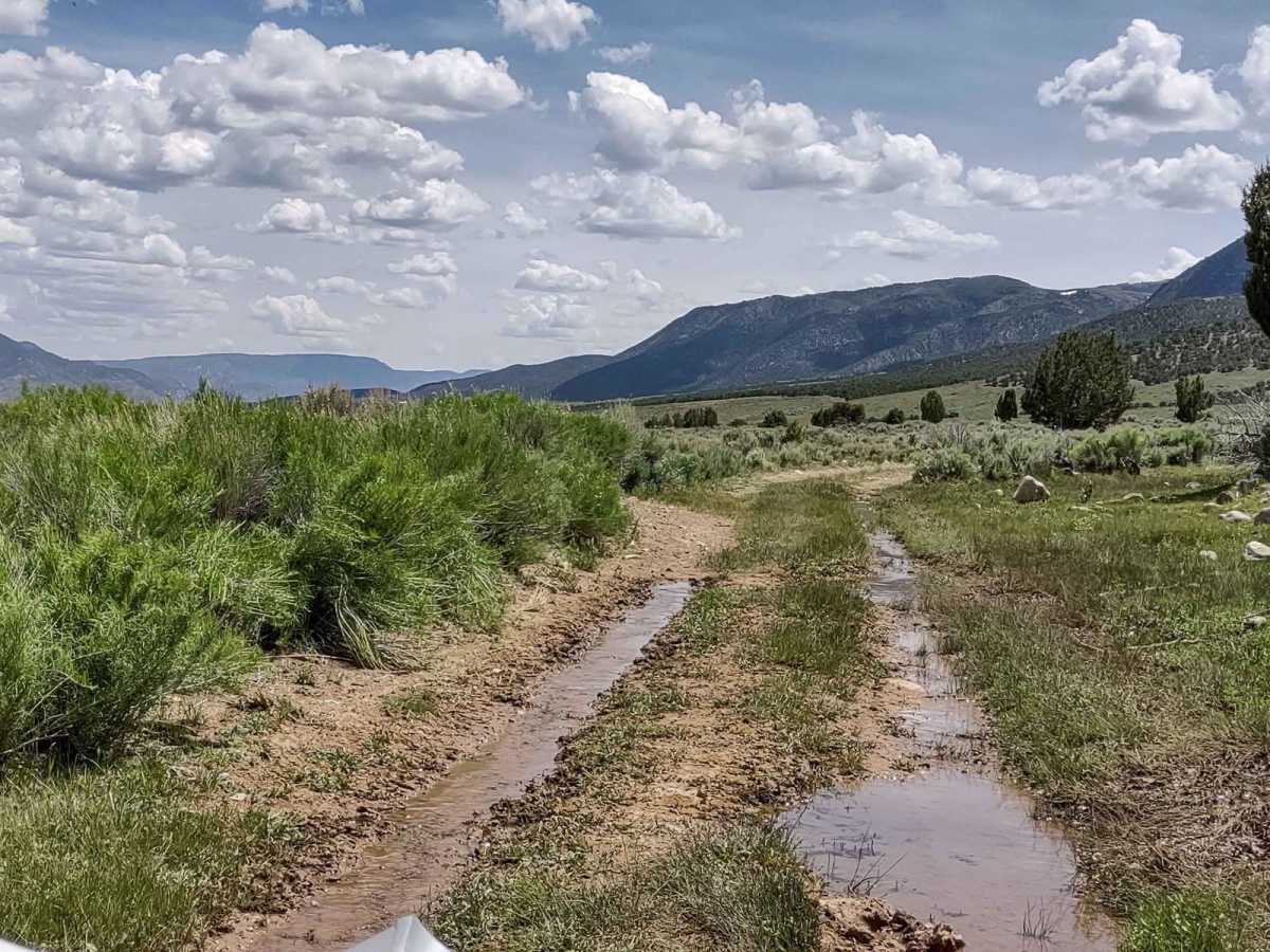 Cottonwood-Bullion Interconnect Trail to Hwy 89 photo 4