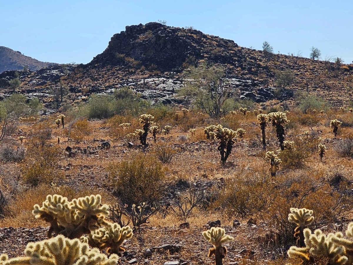 Mid Burro Cutover photo 3