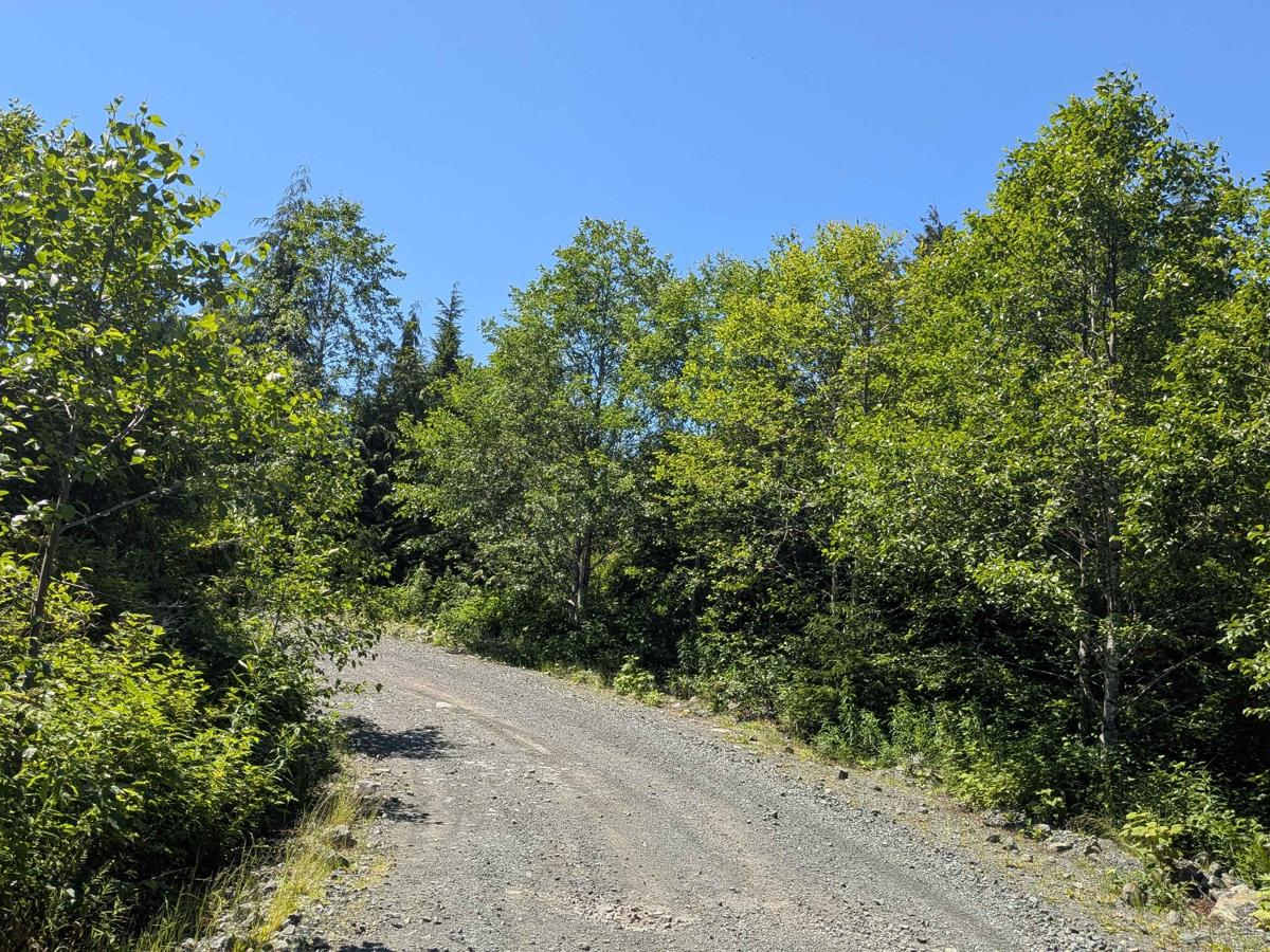 K22 Cutoff trail photo
