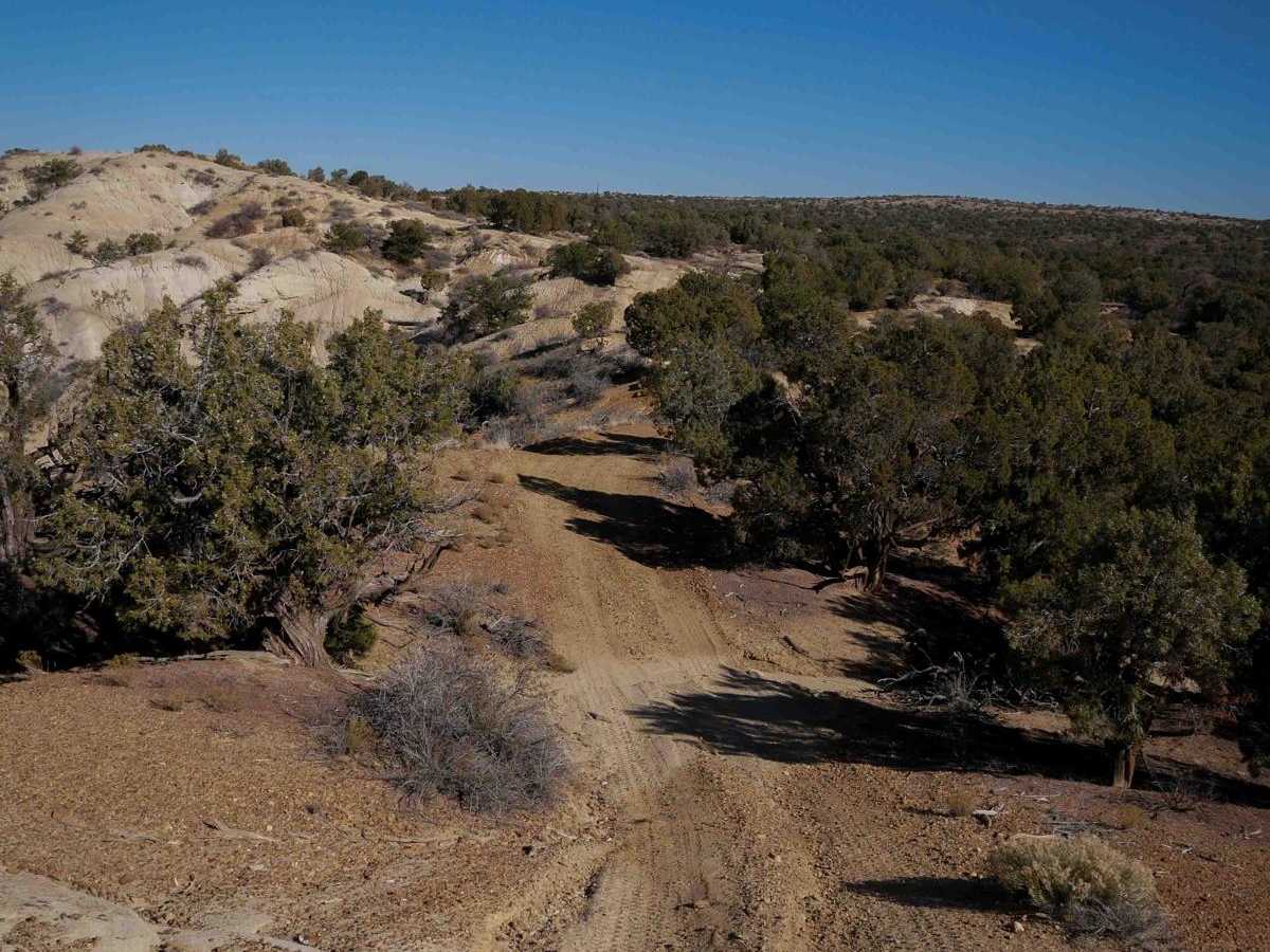 ATV Rim photo 2