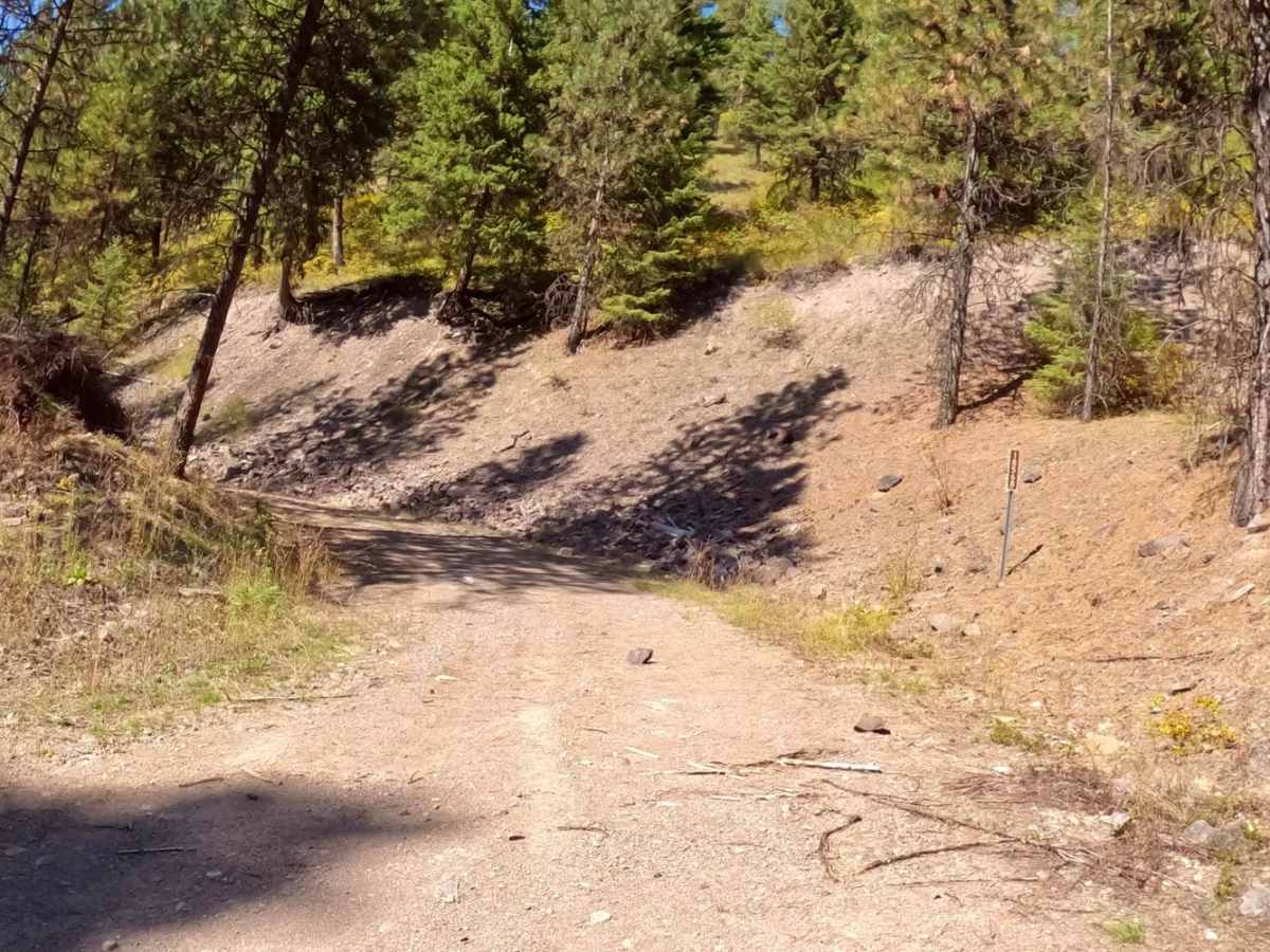 Deep Creek Road Spur Loop trail photo