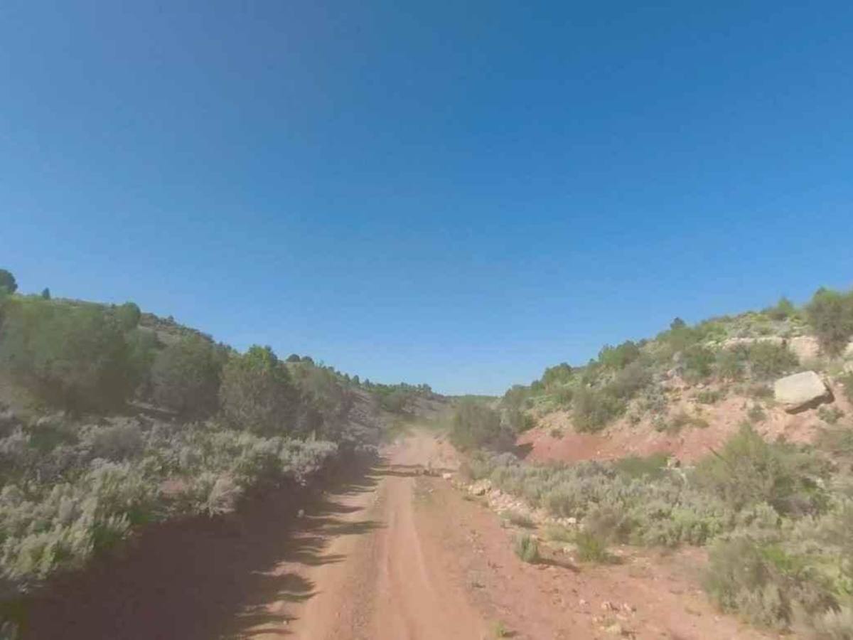 Pigeon Canyon Road-BLM1002 photo 6