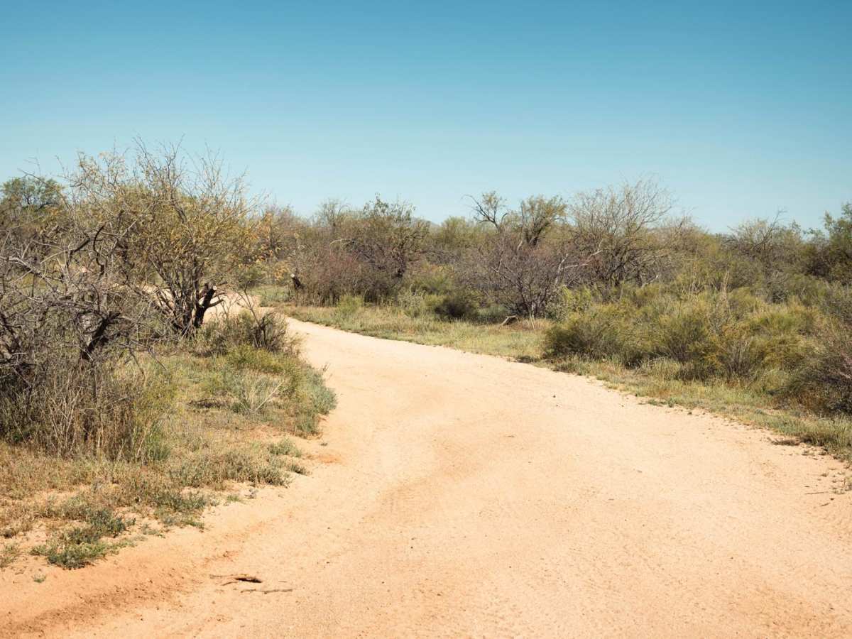 Witch's Tree trail photo
